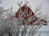 weatherized barn